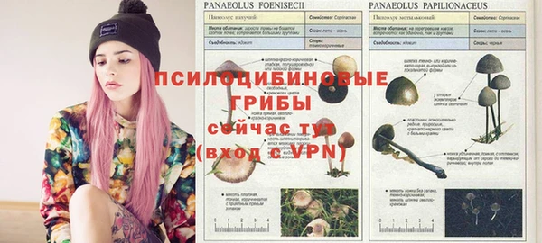 mix Каменногорск