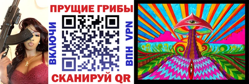 Купить где  Новоалександровск  Псилоцибиновые грибы Psilocybine cubensis 